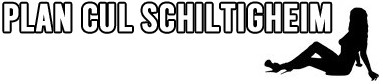plan cul Schiltigheim